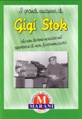The Big Successes By Gigi Stok